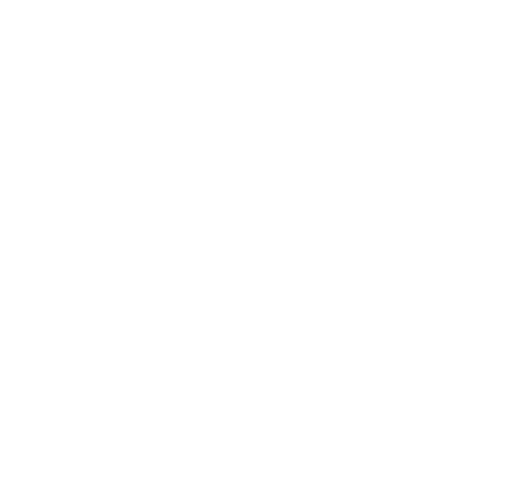 Services Second Icon