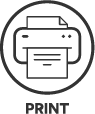 Print Icon