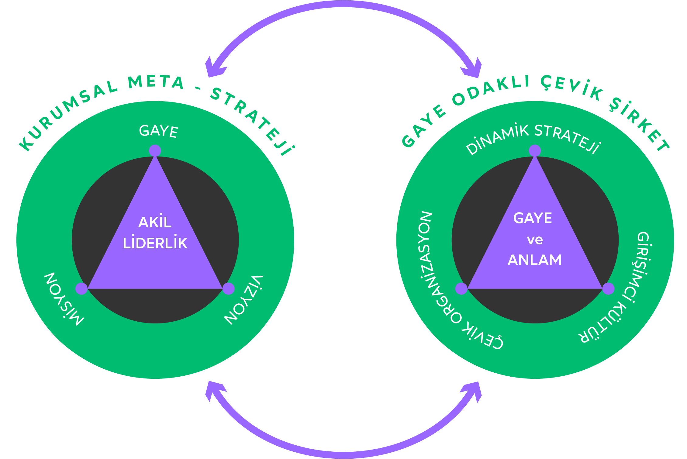İç ve Dış Akıl Şeması